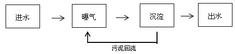 电子污水cod去除的工艺流程图