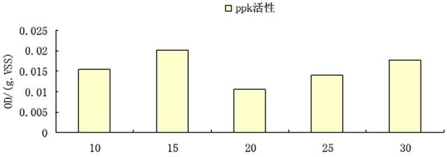 聚磷的生活活性图