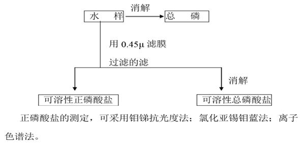 总磷、正磷和偏磷的关系