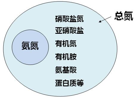 氨氮与总氮的关系图